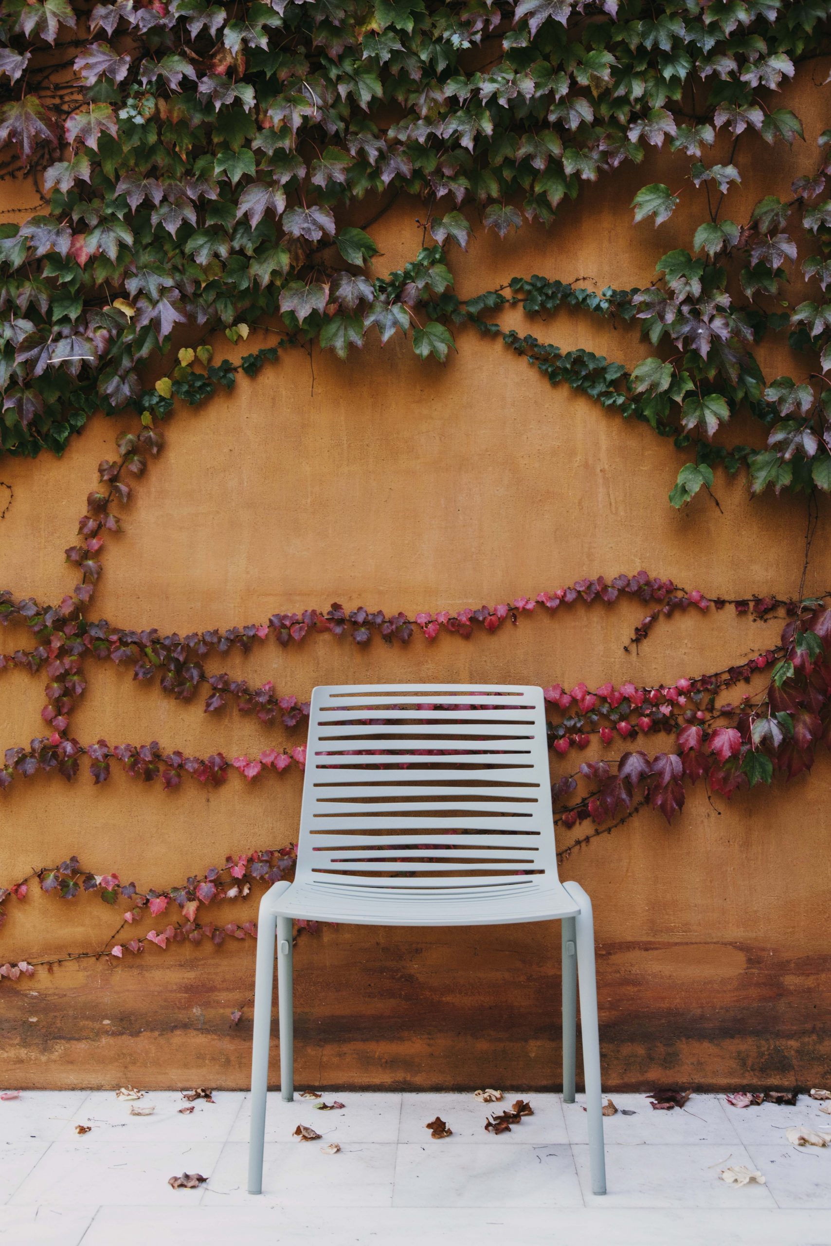 galleryImage